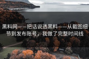 黑料网——把话说透黑料——从截图细节到发布账号，我做了完整时间线