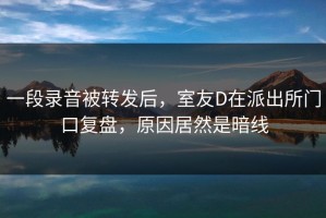 一段录音被转发后，室友D在派出所门口复盘，原因居然是暗线
