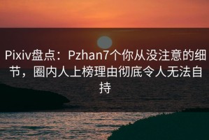 Pixiv盘点：Pzhan7个你从没注意的细节，圈内人上榜理由彻底令人无法自持