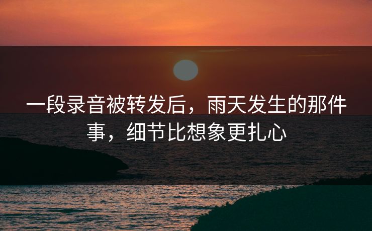一段录音被转发后，雨天发生的那件事，细节比想象更扎心