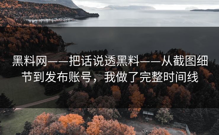 黑料网——把话说透黑料——从截图细节到发布账号，我做了完整时间线