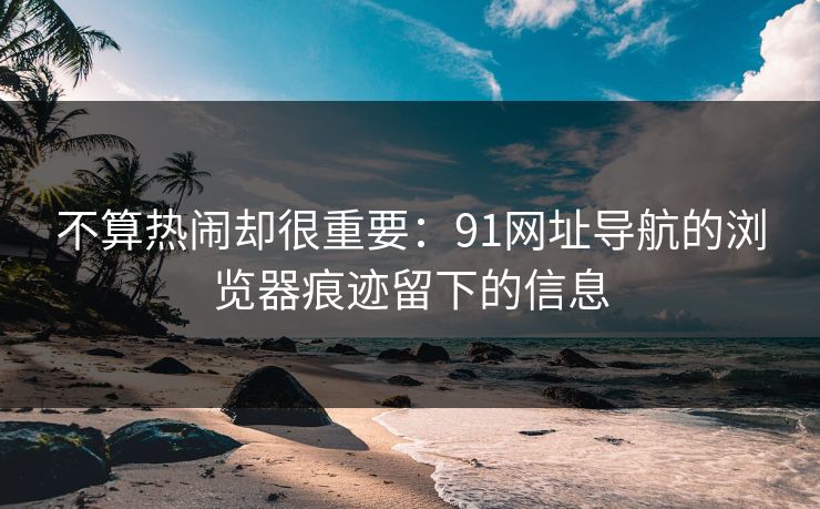 不算热闹却很重要:91网址导航的浏览器痕迹留下的信息 不算热闹却很重要:91网址导航的浏览器痕迹留下的信息
