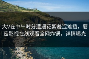 大V在中午时分遭遇花絮羞涩难挡，蘑菇影视在线观看全网炸锅，详情曝光