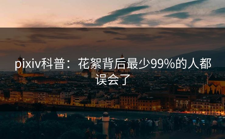 pixiv科普：花絮背后最少99%的人都误会了